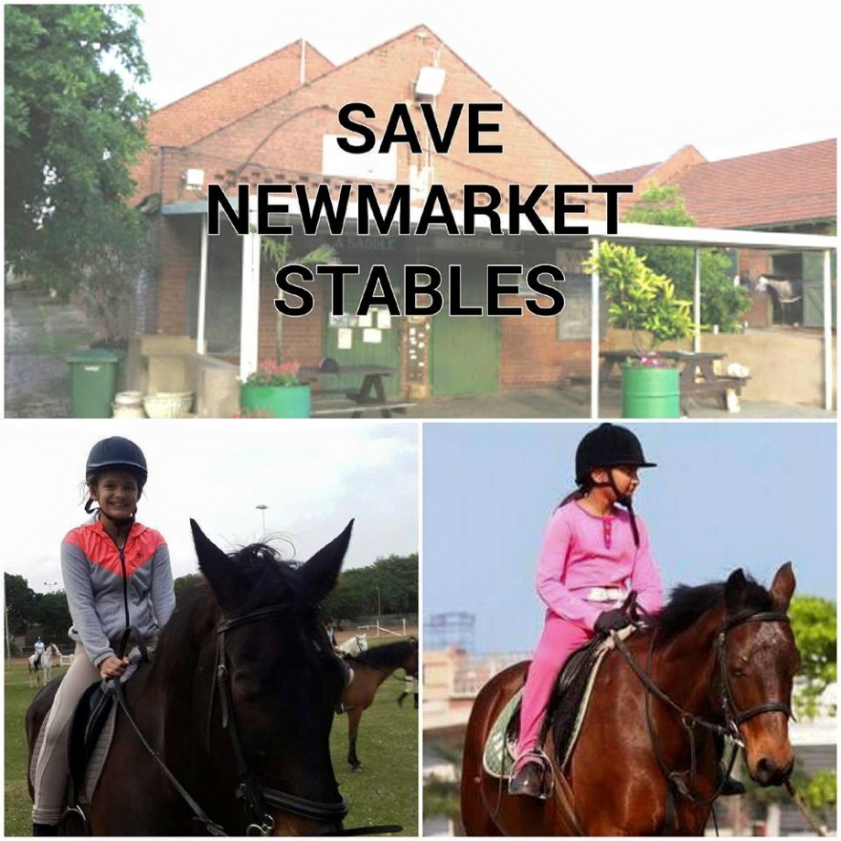 Newmarket Stable Tours