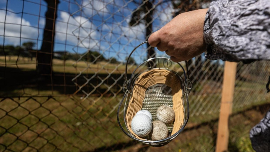 Balls1.jpg