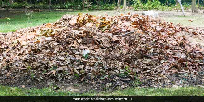 Garden_waste_istock_240_jpg.jpg