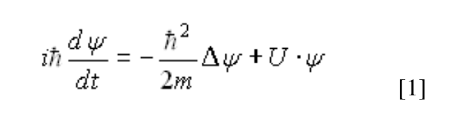 vlnovagenetika.cz_-_Gariaev_-_Schrodinger_equation_1_.png